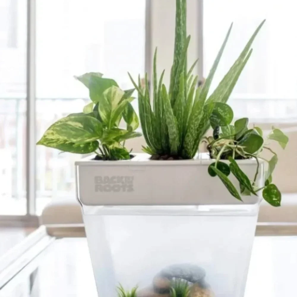 WATER GARDEN: Self-Cleaning Fish Tank Hydroponics Ecosystem micro greens